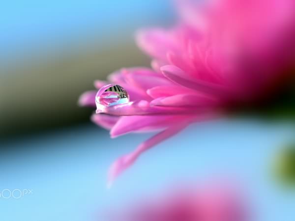 佛山市科桌科技有限公司網(wǎng)站全新改版??！